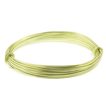 Aluminium Wire (1 mm) Light Green (10 Meter)