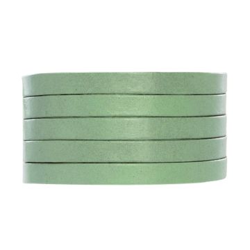 DQ Leer Plat (5 x 1.5 mm) Cool Green (1 Meter)