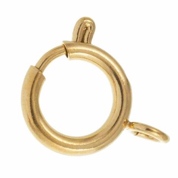 Stainless Steel Veerring Sluiting (17 x 12 x 2 mm) Goud (1 stuk)