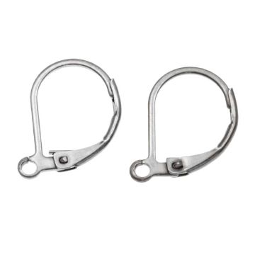 Stainless Steel Oorhaakjes (15 x 10 mm) Antiek Zilver (4 Stuks)