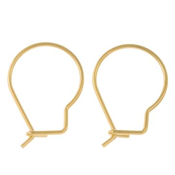Stainless Steel Oorhaakjes (18 x 13 mm) Goud (10 Stuks)