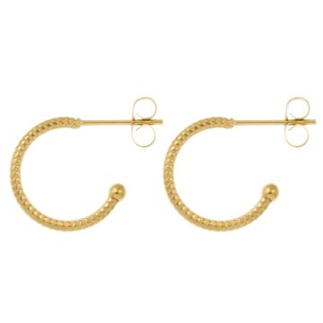 Stainless Steel Oorringen (15 x 2.5 mm) Goud (4 Stuks)