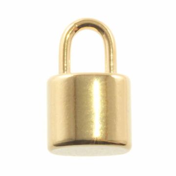 Stainless Steel Bedel Slotje (12 x 7 x 5 mm) Goud (2 Stuks)