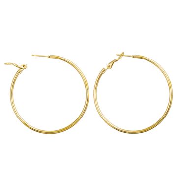 Stainless Steel Oorringen (50 x 2 mm) Goud (2 Stuks)