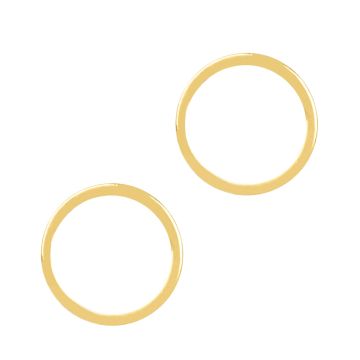 Stainless Steel Gesloten Ringen (buitenmaat 16 mm binnenmaat 14 mm) Goud (5 stuks)