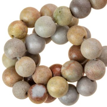 Fossiel Koraal Kralen (6 mm) 64 Stuks
