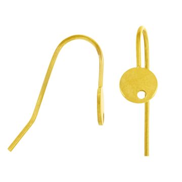 Stainless Steel Oorhaakjes (20.5 x 6 x 13.5 mm) Goud (4 Stuks)