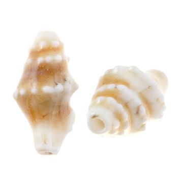 Keramiek Kralen Schelp (20 x 10.5 x 10 mm) Desert Dust (5 Stuk)