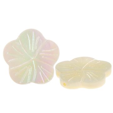 Schelp Kralen Bloem (18.5 - 20 x 19 - 20 x 2 - 3.5 mm) White AB (5 Stuks)