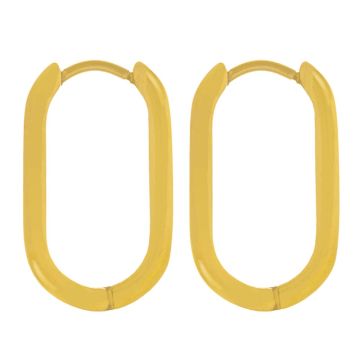 Stainless Steel Oorringen (21.5 x 12 x 3 mm) Goud (2 Stuks)