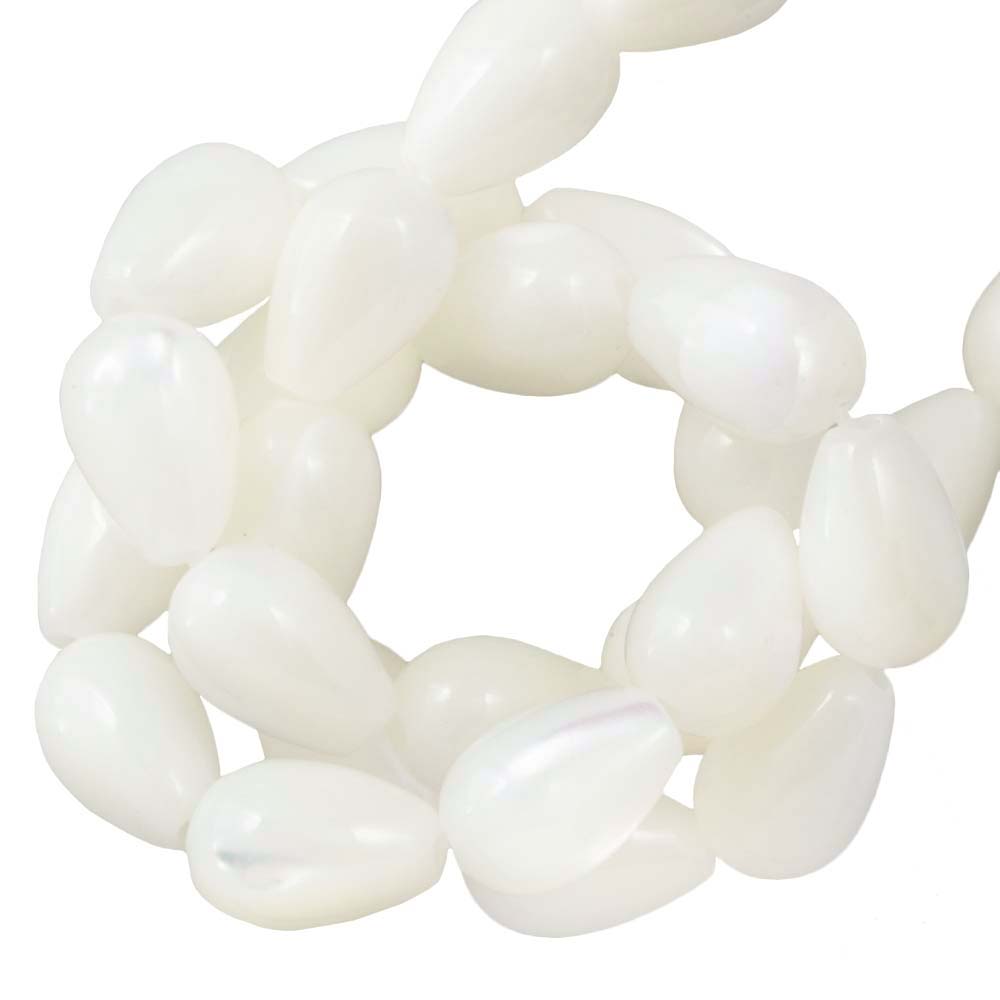 Schelp kralen kauri Naturel white | SCHELPKRALEN
